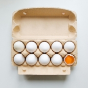 donate eggs to a food bank