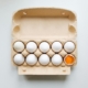 donate eggs to a food bank
